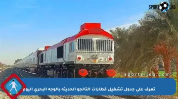 تعرف على جدول تشغيل قطارات التالجو الحديثة بالوجه البحري اليوم